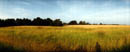 Photo: above Fort Canby.